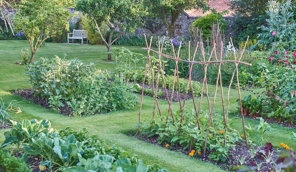 Gemüse anbauen Rasenfläche statt Gartenwege