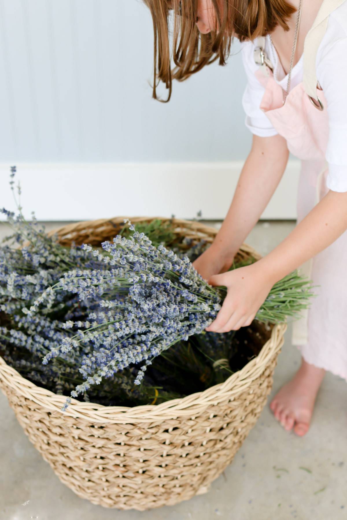 Wie können Sie selber eigenen Lavendel trocknen?
