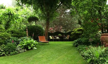 Gartengestaltung modern grüne Oase