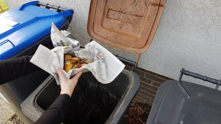 Mülleimer Küche sauber halten & unangemehme Gerüche entfernen