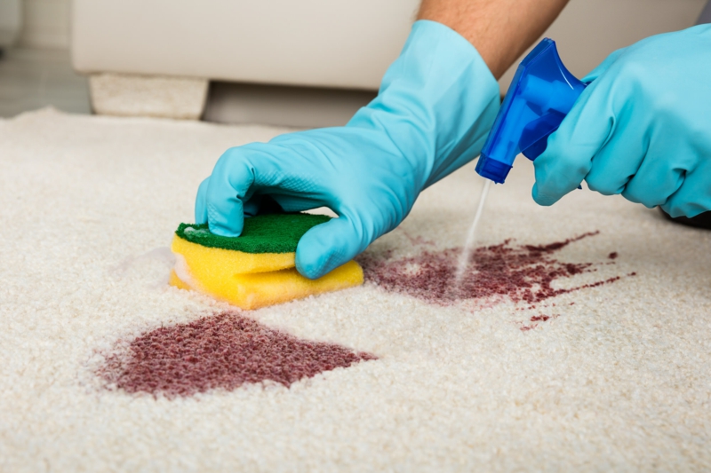 Teppich reinigen Rotweinflecken entfernen