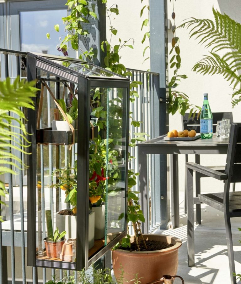 Gewächshaus klein auf dem Balkon Ist das eine gute Idee? ZENIDEEN