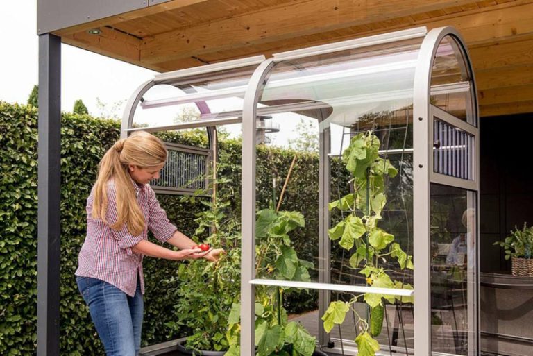 Gewächshaus klein auf dem Balkon Ist das eine gute Idee? ZENIDEEN