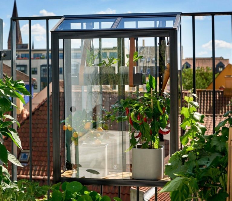Gewächshaus klein auf dem Balkon Ist das eine gute Idee? ZENIDEEN