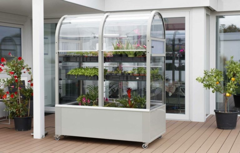 Gewächshaus klein auf dem Balkon Ist das eine gute Idee? ZENIDEEN