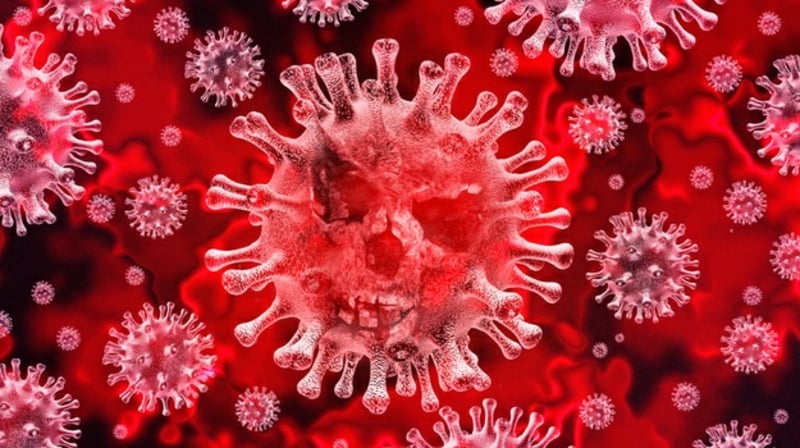 Immunsystem stärken Coronavirus Ansteckung