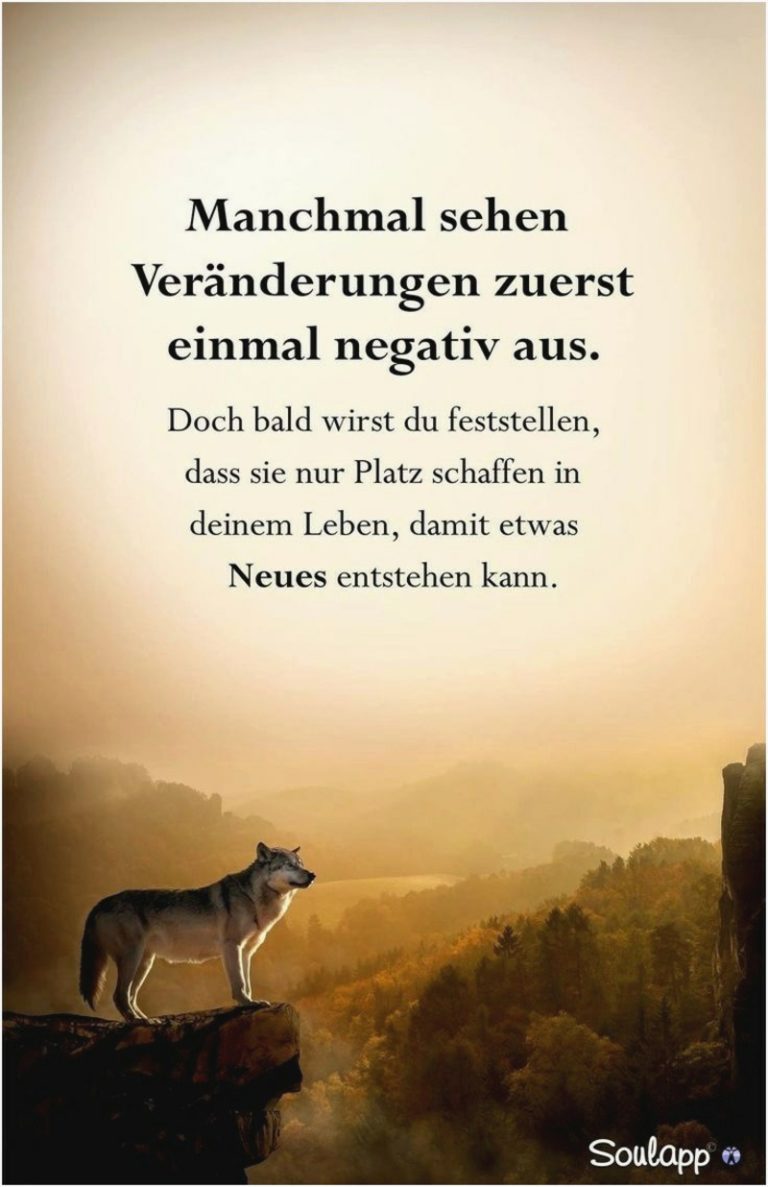 Sprüche zum Abschied von Kollegen, Freunden, Bekannten 20 Ideen ZENIDEEN