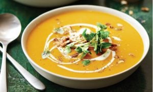 Suppe passieren Kürbis lecker gesund