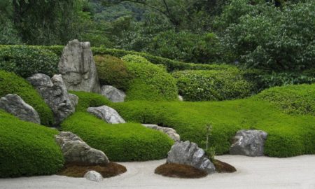 Zen-Garten: Ruhe finden in grüner Umgebung