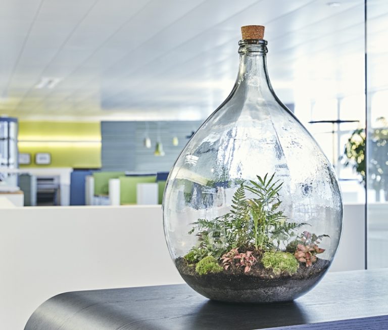 35+ Mini Garten Im Glas, Wir zeigen dir, wie du in null komma nichts