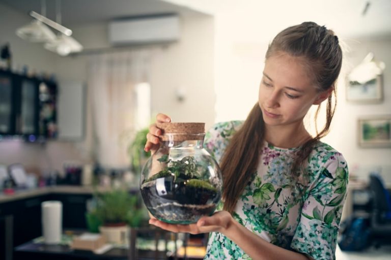 Flaschengarten anlegen wunderschöne Ideen & hilfreiche Tipps ZENIDEEN