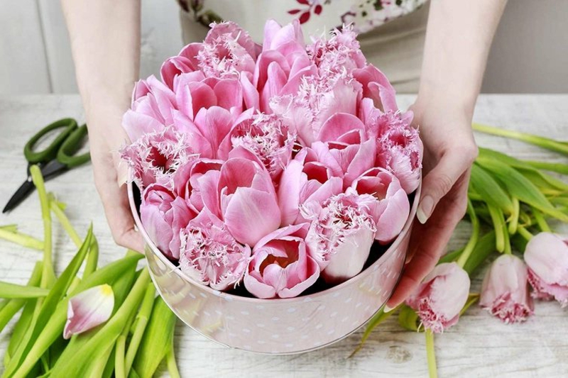 rosa Tulpen in Geschenkbox