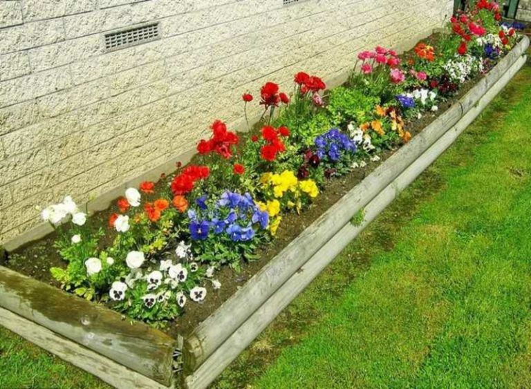 Blumenbeet selber anlegen Worauf sollte man achten?