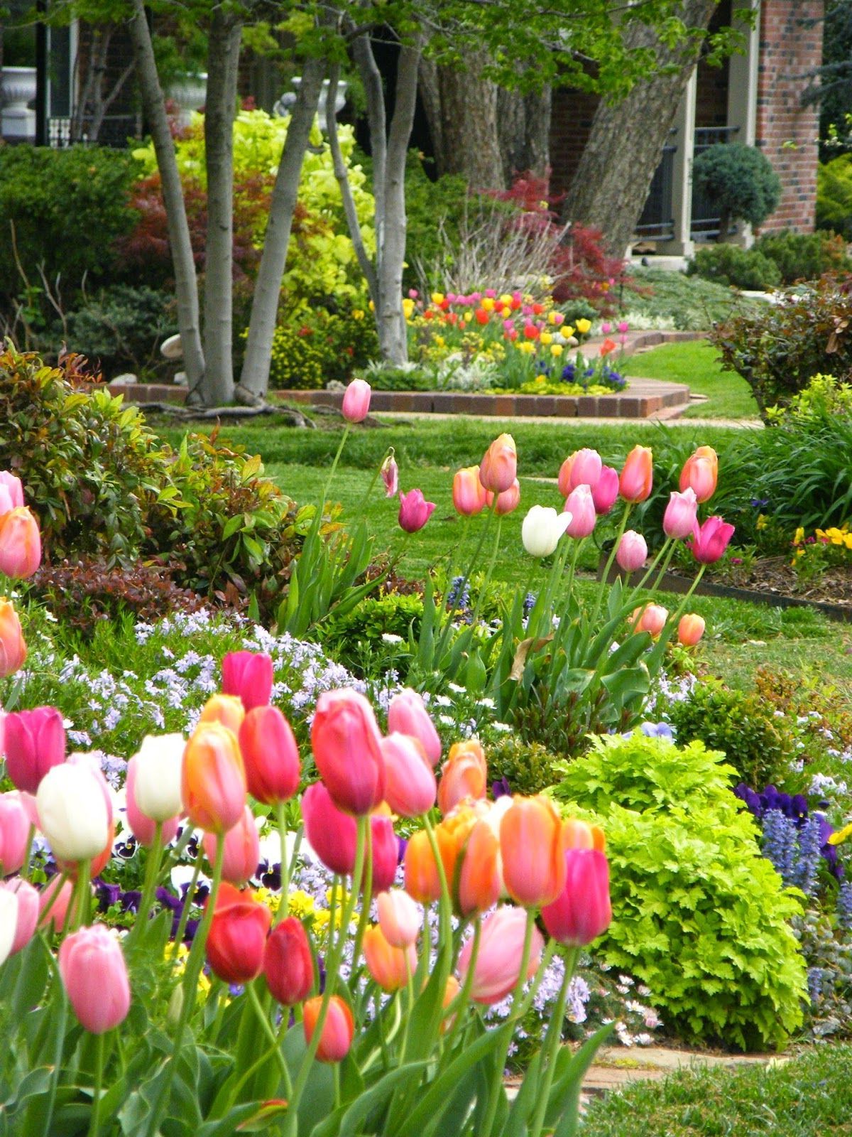 Blumenzwiebeln pflanzen - Jetzt ist die Zeit um die Blühten im Frühling zu genießen!