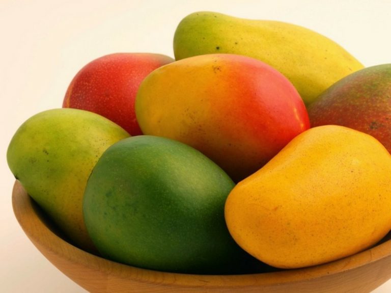 Mango gesund: Warum sollten Sie die saftige Frucht jeden Tag essen?