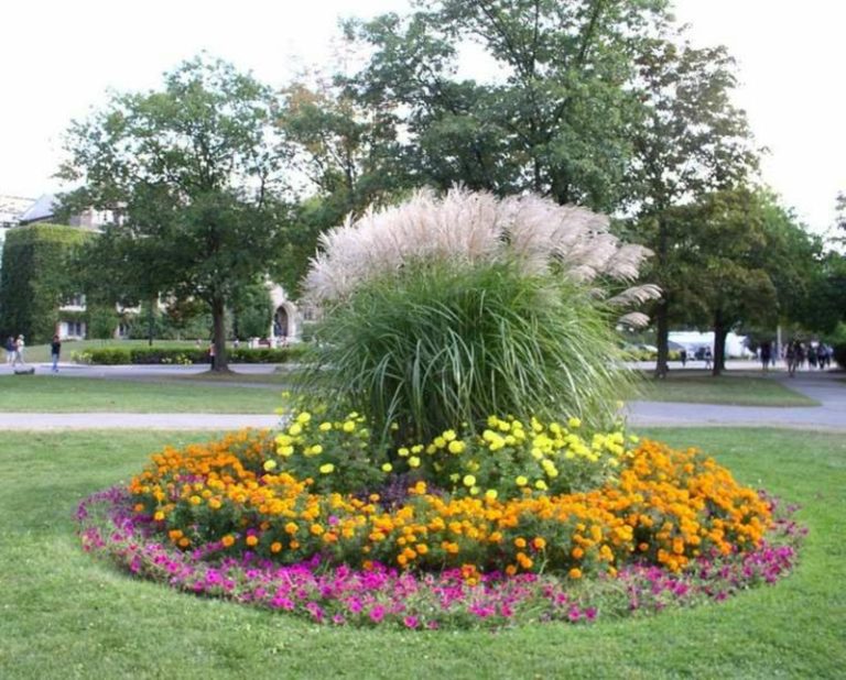 Blumenbeet Selber Anlegen Wichtige Tipps Und Schritt Für Schritt Anleitung Zenideen 5629