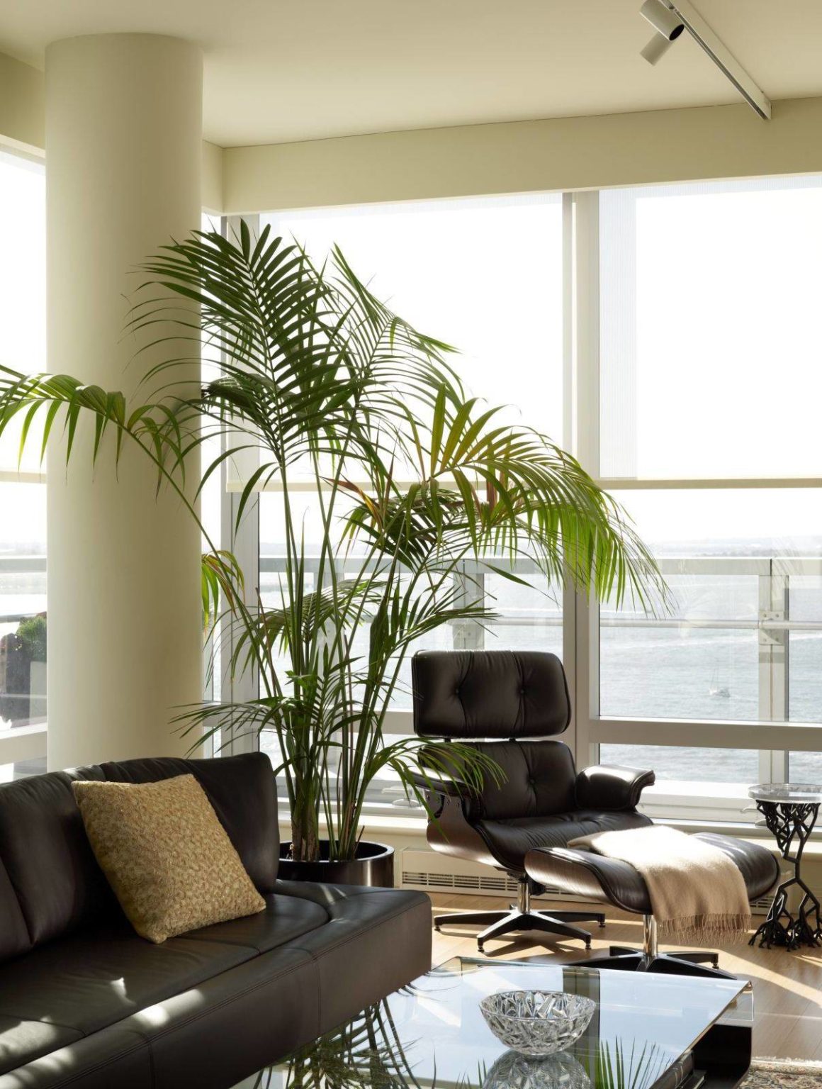 Grün liegt im Trend Die 5 besten Zimmerpflanzen Innendesign ZENIDEEN