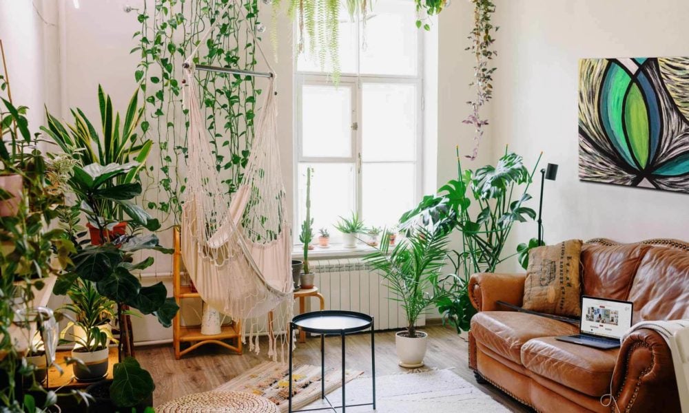 Mit Pflanzen dekorieren - Zimmerpflanzen sind der neue Interior Trend!