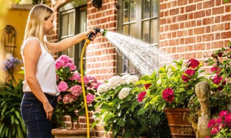Regenwassernutzung im Garten und Haus: Die Vorteile vom Hauswasserwerk
