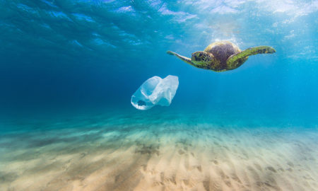 Plastikfrei leben: 7 Tipps, wie Sie im Alltag Plastik vermeiden