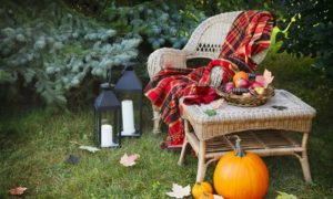 Herbstfeeling im Garten und auf der Terrasse: 9 Tipps für den Herbstgarten