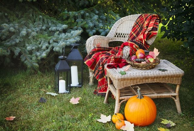 Herbstfeeling im Garten und auf der Terrasse: 9 Tipps für den Herbstgarten