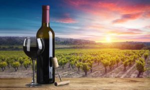 Italienischer Rotwein: Eigenschaften und Kombinationen