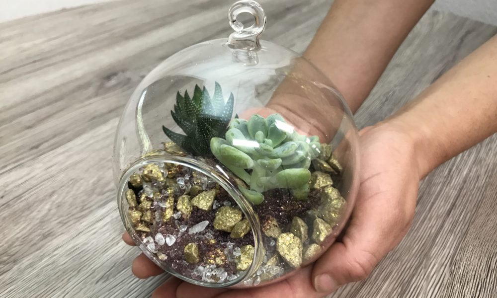 Flaschengarten anlegen: So verewigen Ihren Garten im Glas!