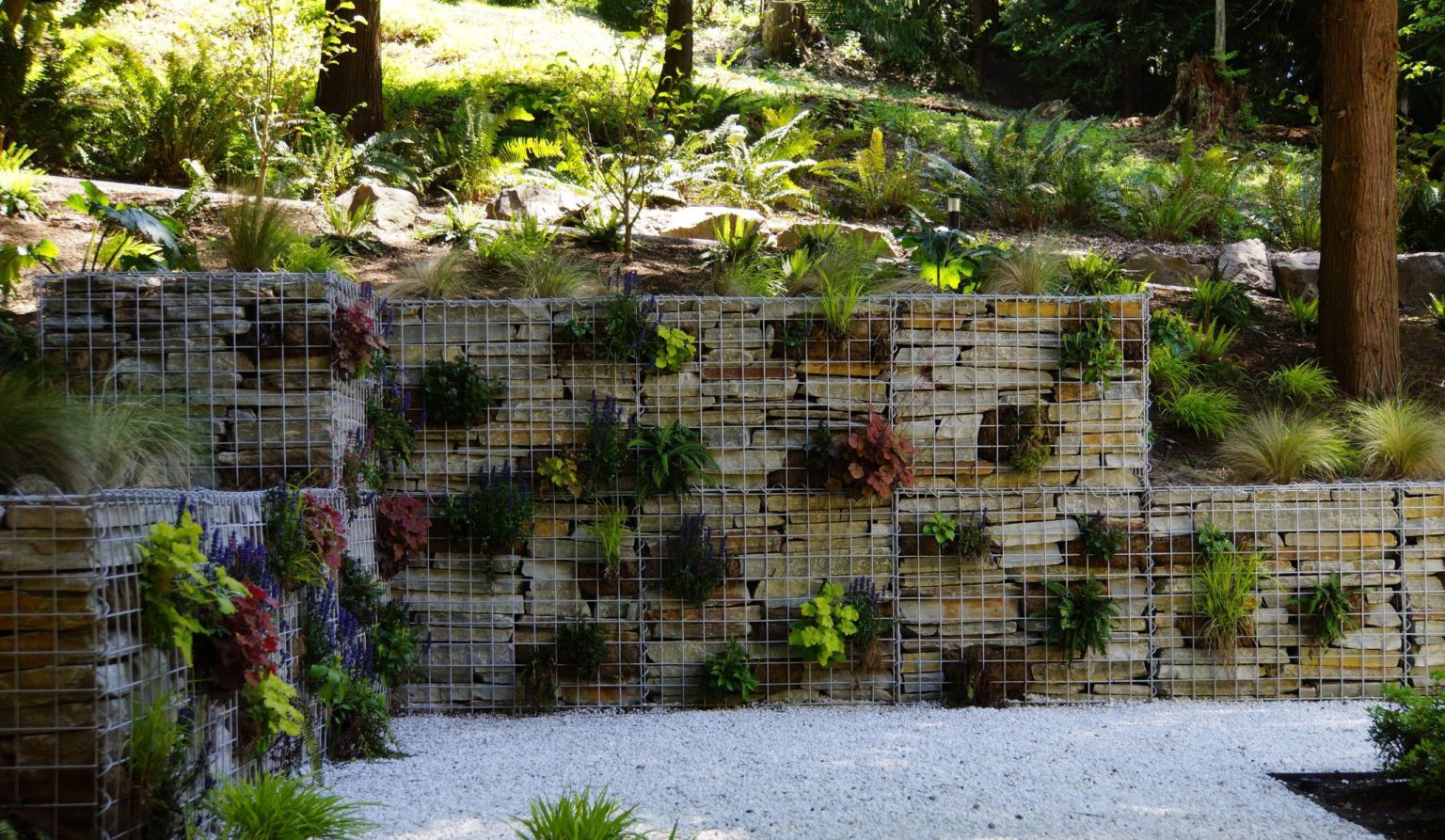 Gartengestaltung mit Gabionen Vorteile, Befüllen und Bepflanzen