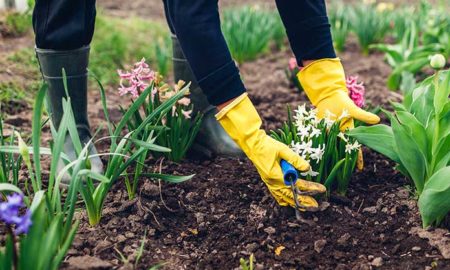 Garten im Frühling - Checkliste für die Gartenarbeiten, die anfallen