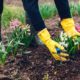 Garten im Frühling - Checkliste für die Gartenarbeiten, die anfallen
