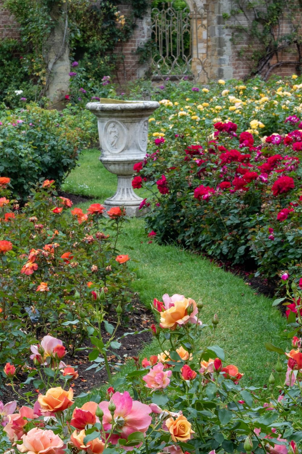 Garten im Frühling - Rosenschnitt