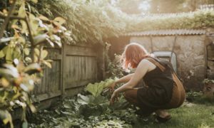 Gartenarbeit zur Entspannung