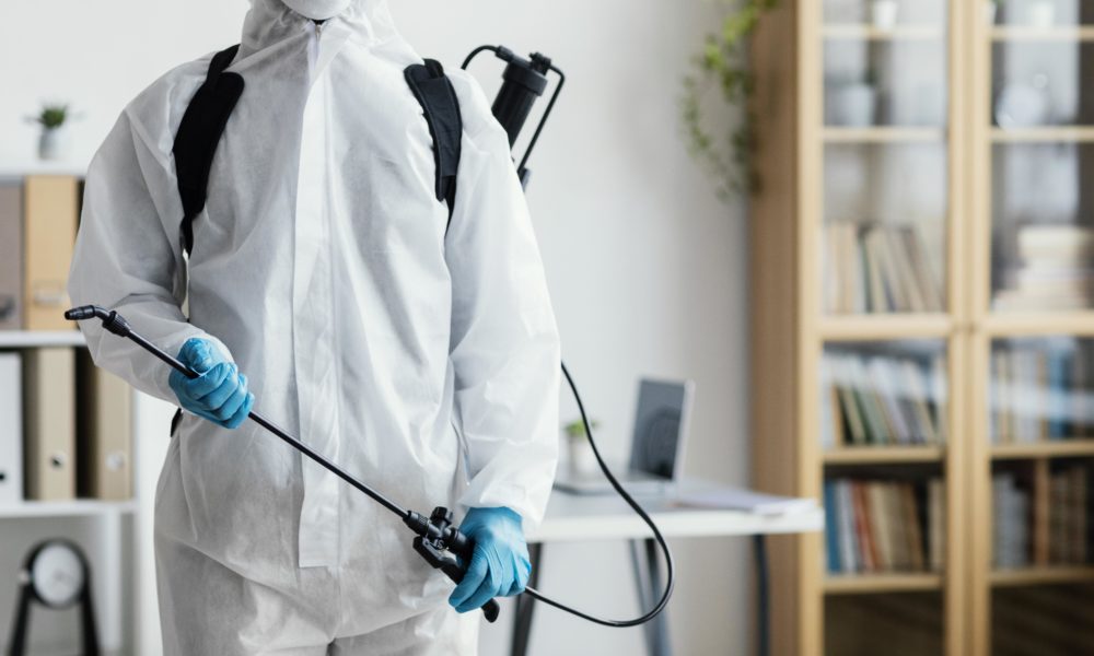 Ungebetene Gäste zu Hause? Die besten Tipps gegen Schädlinge im Haushalt