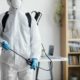 Ungebetene Gäste zu Hause? Die besten Tipps gegen Schädlinge im Haushalt