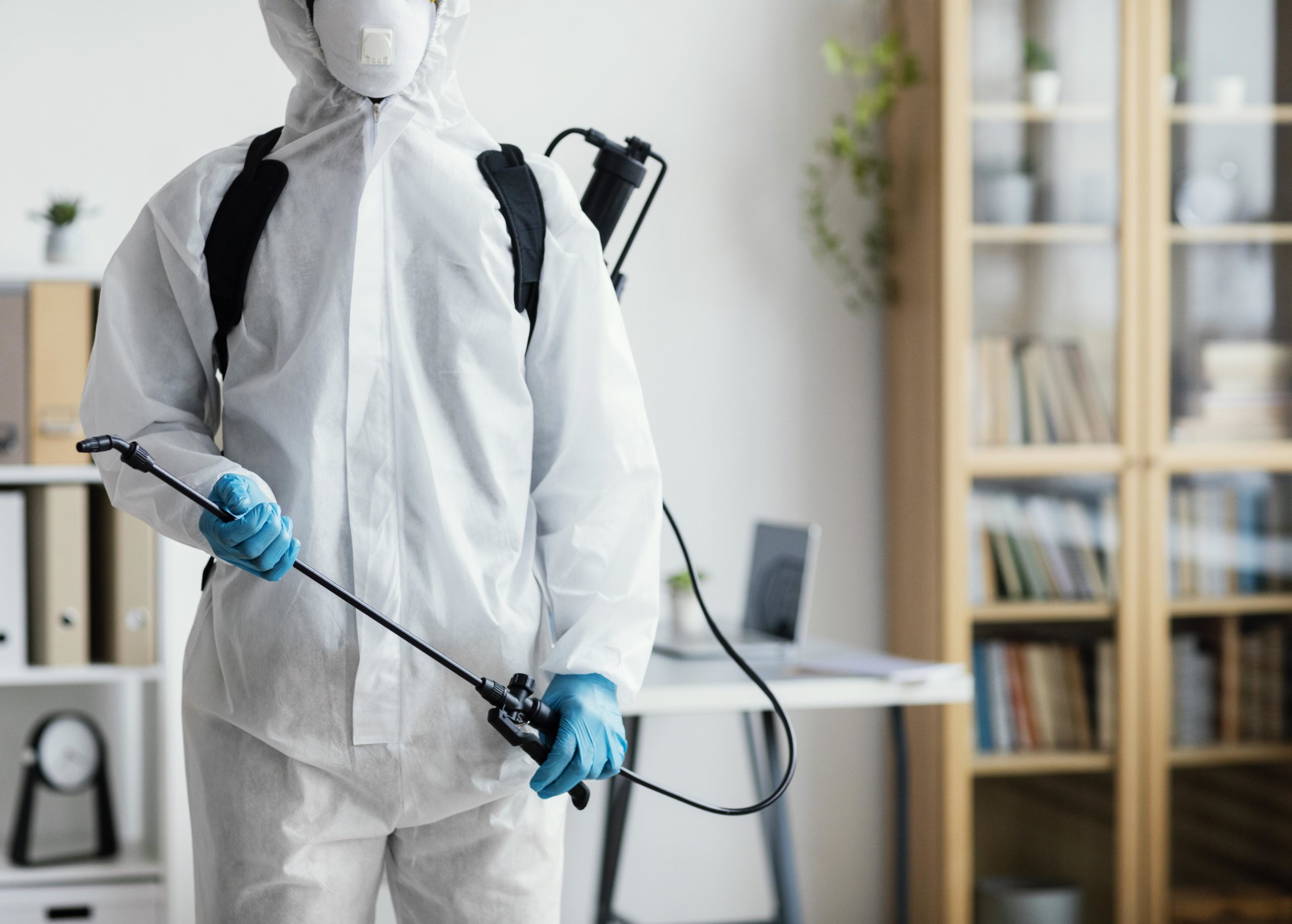 Ungebetene Gäste zu Hause? Die besten Tipps gegen Schädlinge im Haushalt