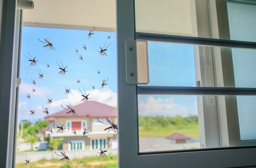 Warum kommen Schädlinge ins Haus?