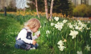 Tipps für einen wunderschön blühenden Garten