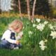 Tipps für einen wunderschön blühenden Garten