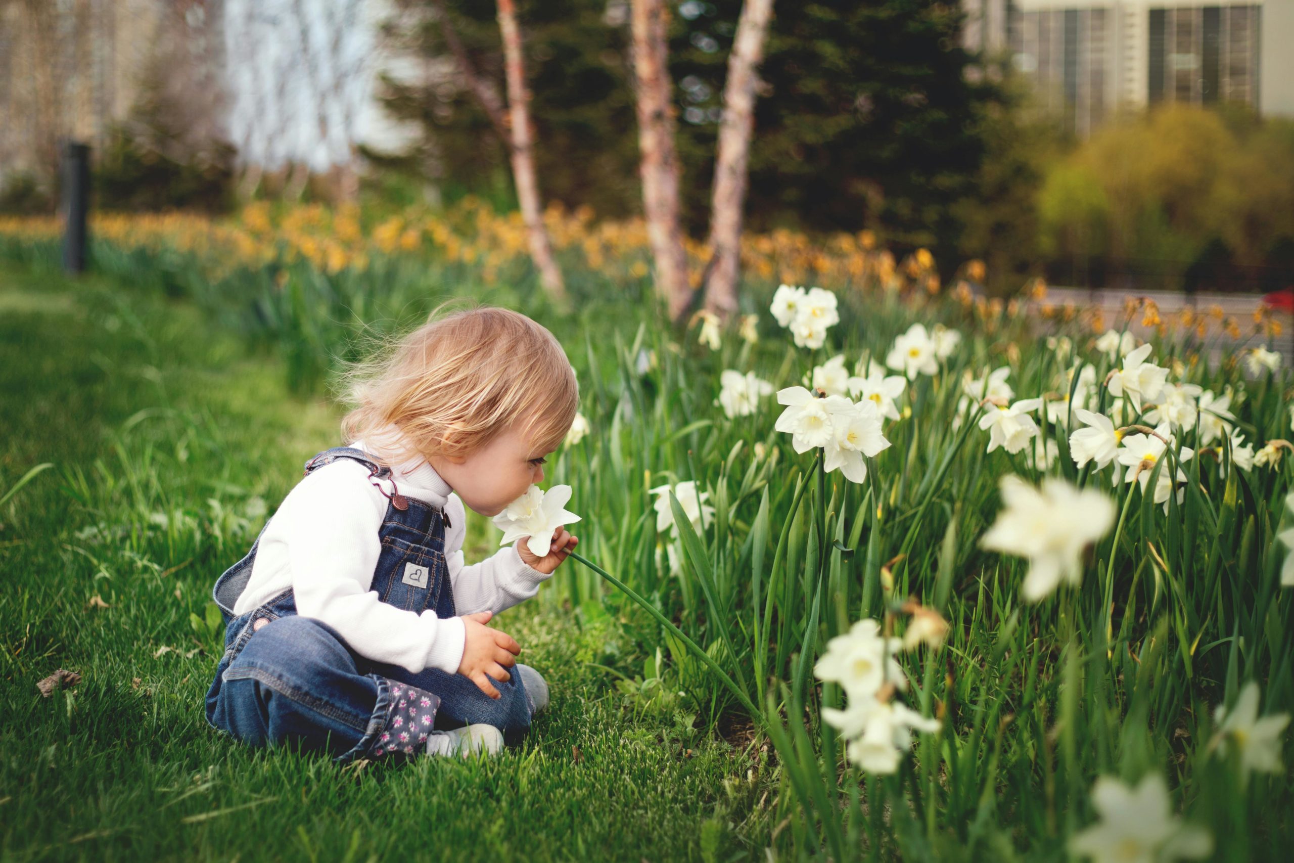 Tipps für einen wunderschön blühenden Garten
