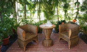 So gelingt ein harmonischer Wintergarten