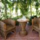 So gelingt ein harmonischer Wintergarten