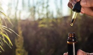 CBD: Potenziale dort nutzen, wo der Alltag drückt