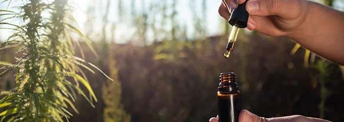 CBD: Potenziale dort nutzen, wo der Alltag drückt