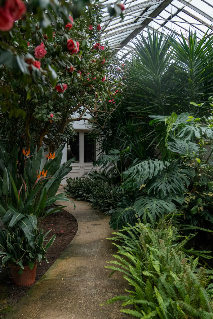 Pflanzen für kleine Gärten