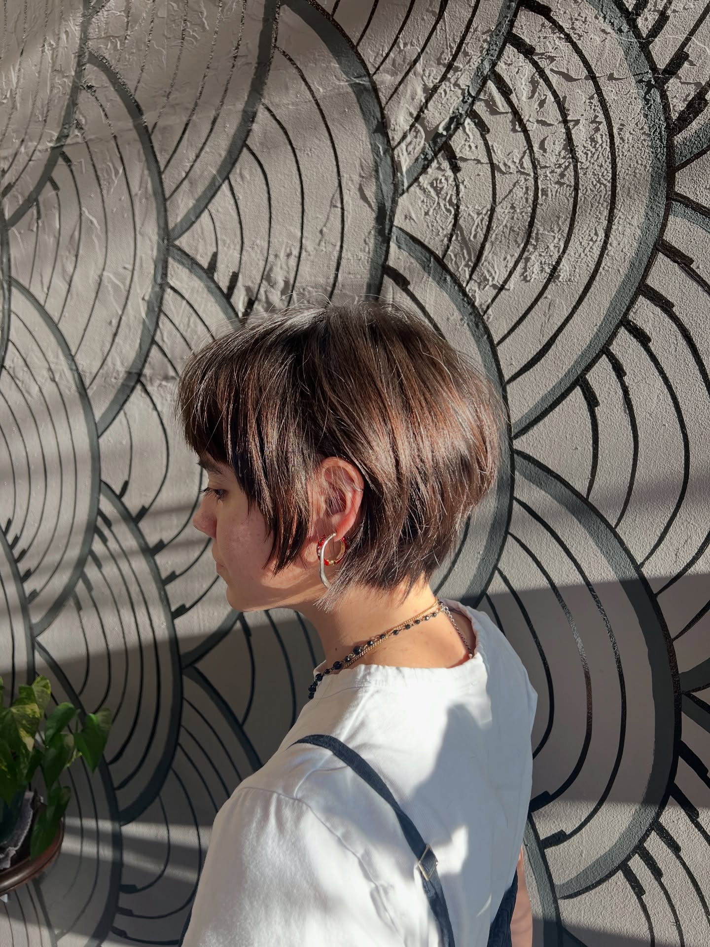 bixie cut feines haar bixie cut feines haar