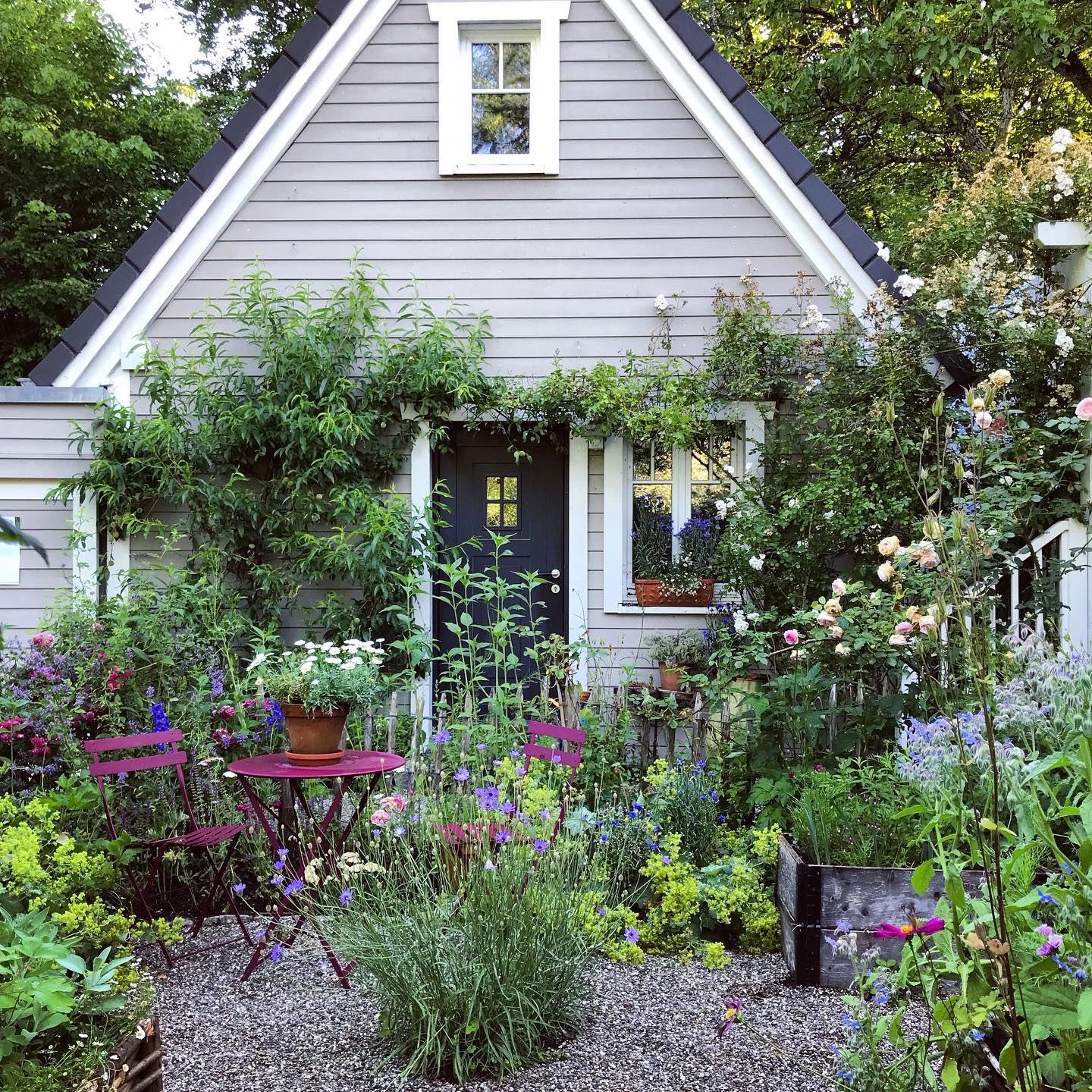 cottage garten vorgarten cottage garten vorgarten