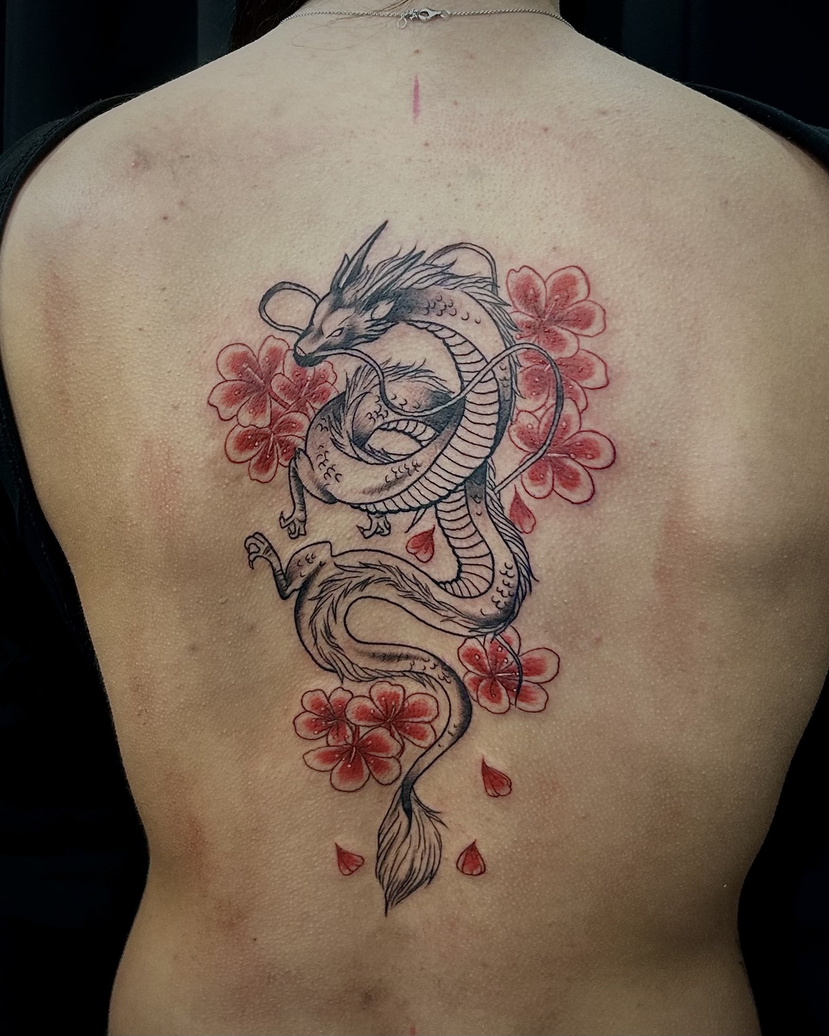drachen tattoo kirschblüten drachen tattoo kirschblüten