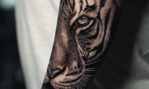 Tiger Tattoo Bedeutung: Was hinter dem kraftvollen Motiv steckt