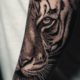 Tiger Tattoo Bedeutung: Was hinter dem kraftvollen Motiv steckt